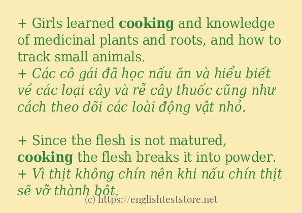 Các câu ví dụ của từ cooking