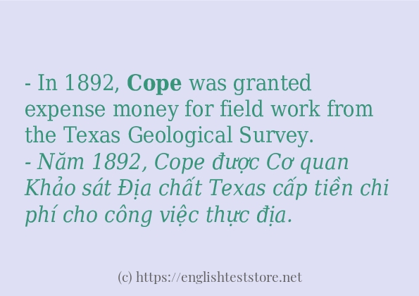 Các câu ví dụ của từ cope Các câu ví dụ của từ cope