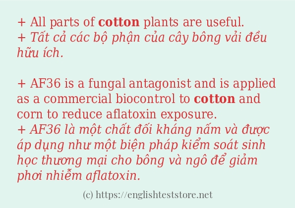 Các câu ví dụ của từ cotton
