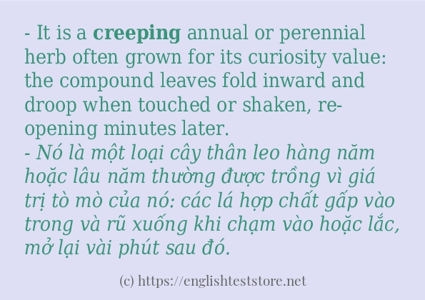 Các câu ví dụ của từ creeping