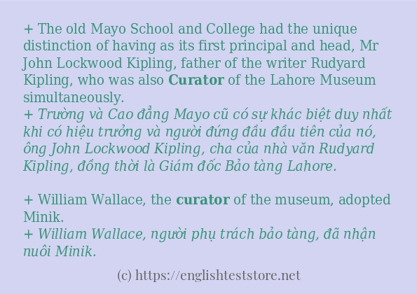 Các câu ví dụ của từ curator
