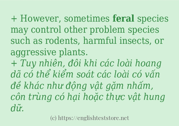Các câu ví dụ của từ feral