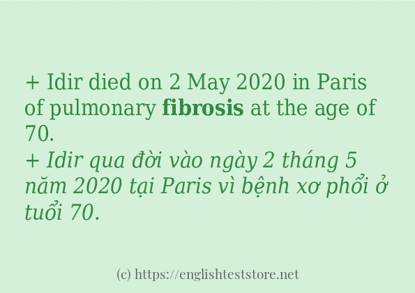 Các câu ví dụ của từ fibrosis