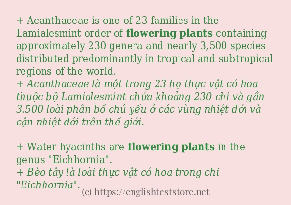 Các câu ví dụ của từ flowering plants