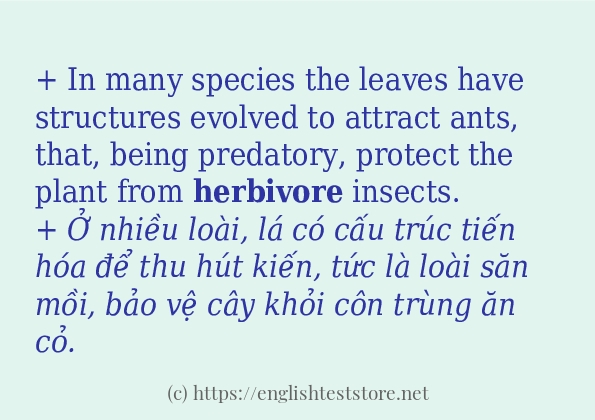 Các câu ví dụ của từ herbivore