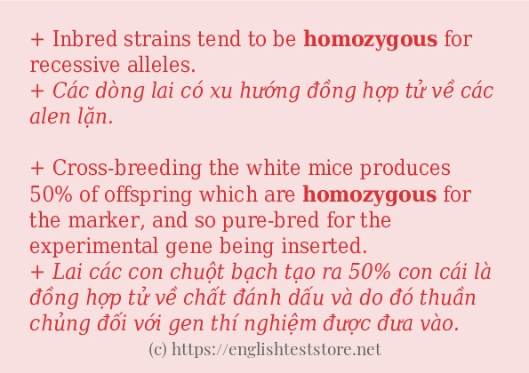 Các câu ví dụ của từ homozygous