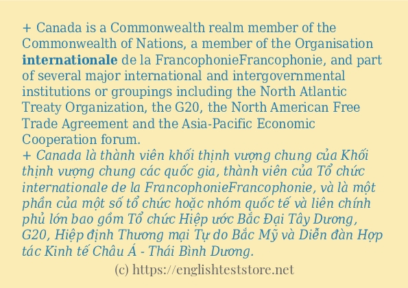 Các câu ví dụ của từ internationale