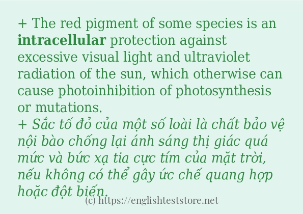 Các câu ví dụ của từ intracellular