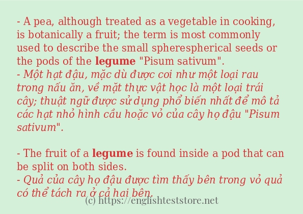 Các câu ví dụ của từ legume