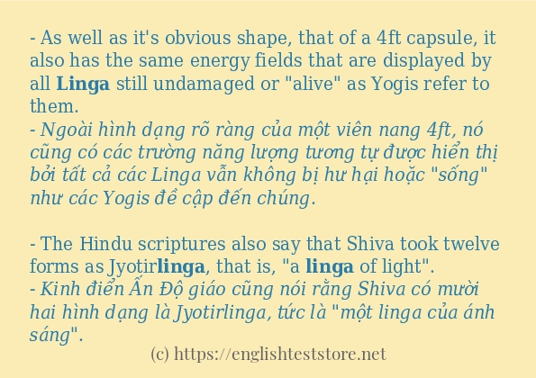 Các câu ví dụ của từ linga