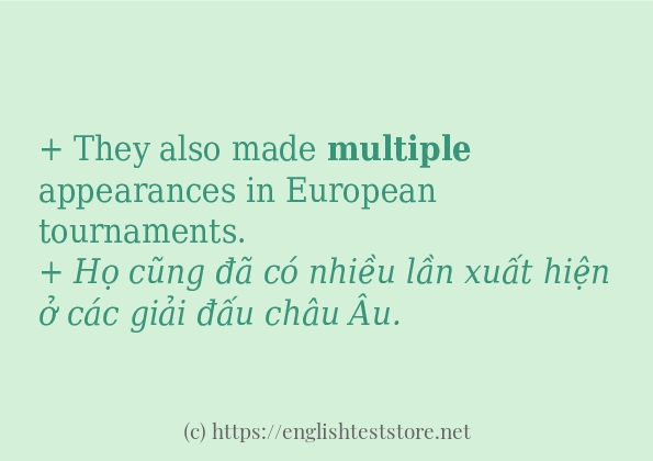 Các câu ví dụ của từ multiple