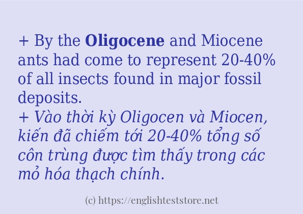 Các câu ví dụ của từ oligocene