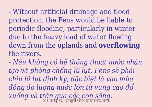 Các câu ví dụ của từ overflowing