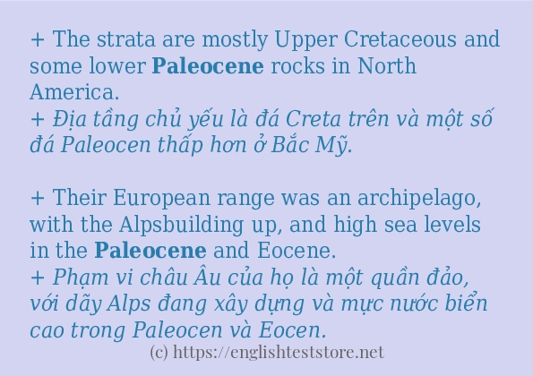 Các câu ví dụ của từ paleocene