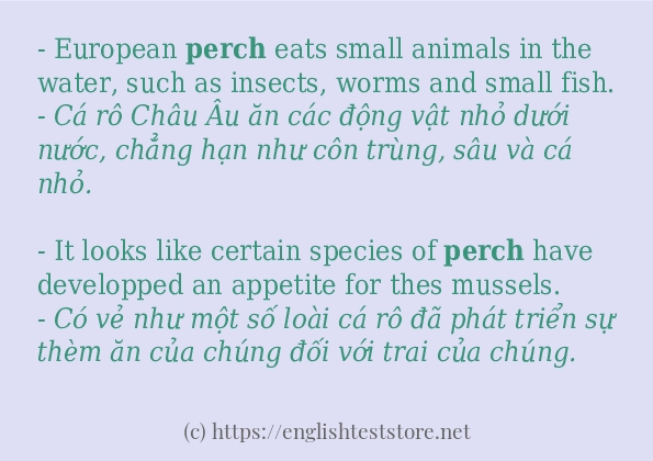 Các câu ví dụ của từ perch Các câu ví dụ của từ perch
