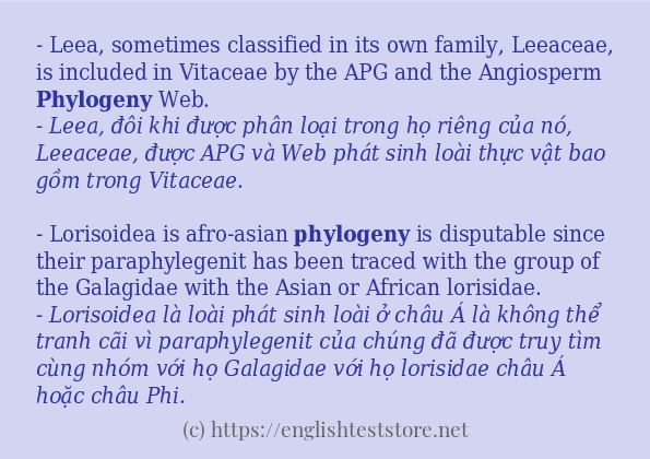 Các câu ví dụ của từ phylogeny