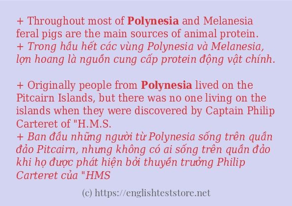 Các câu ví dụ của từ polynesia