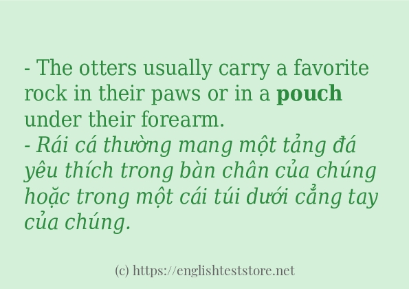 Các câu ví dụ của từ pouch