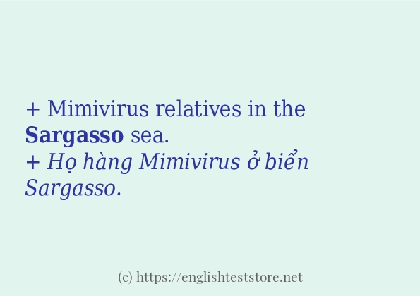 Các câu ví dụ của từ sargasso