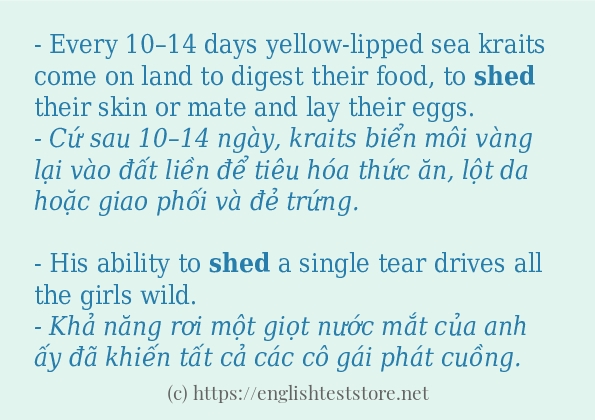 Các câu ví dụ của từ shed Các câu ví dụ của từ shed