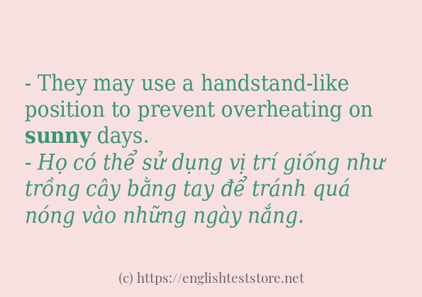 Các câu ví dụ của từ sunny Các câu ví dụ của từ sunny