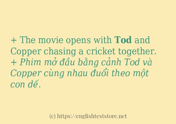 Các câu ví dụ của từ tod