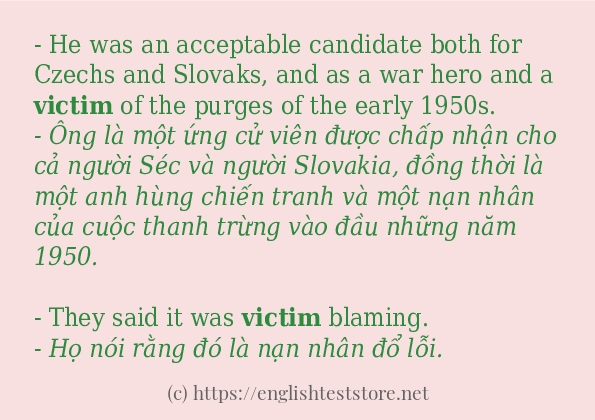 Các câu ví dụ của từ victim