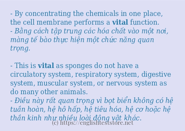 Các câu ví dụ của từ vital Các câu ví dụ của từ vital