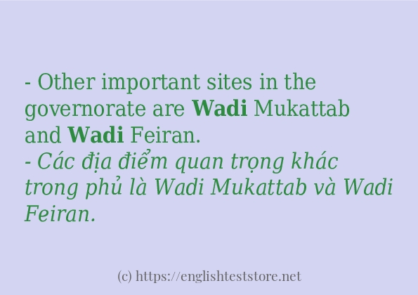 Các câu ví dụ của từ wadi