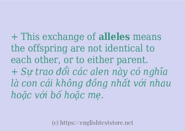 Các câu ví dụ và cách dùng từ alleles