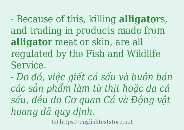 Các câu ví dụ và cách dùng từ alligator