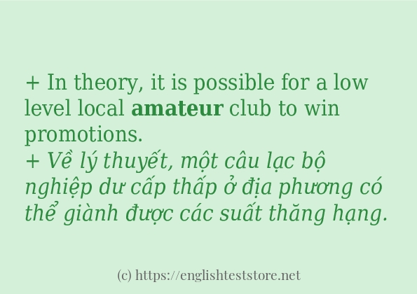 Các câu ví dụ và cách dùng từ amateur