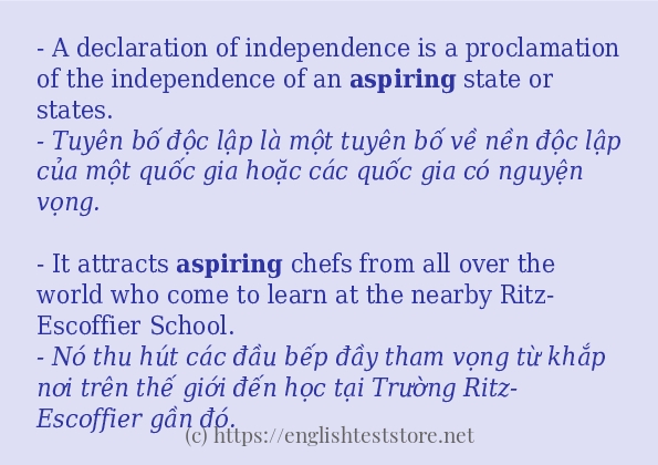 Các câu ví dụ và cách dùng từ aspiring