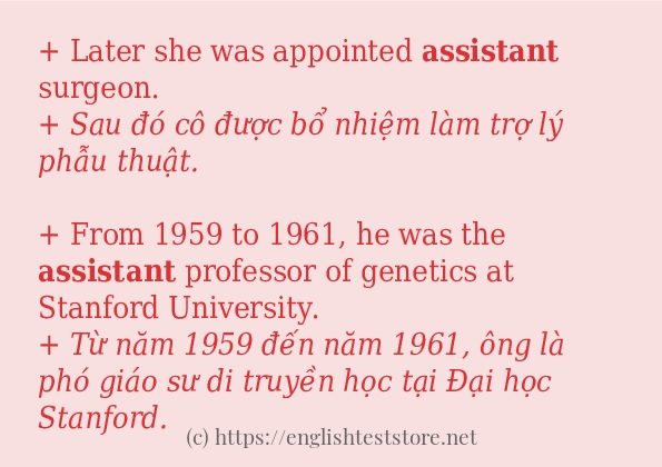Các câu ví dụ và cách dùng từ assistant