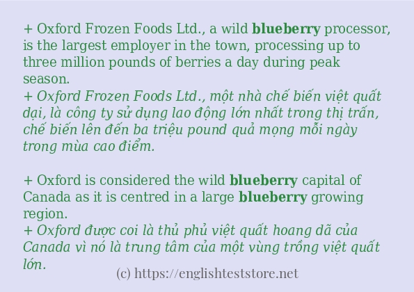 Các câu ví dụ và cách dùng từ blueberry