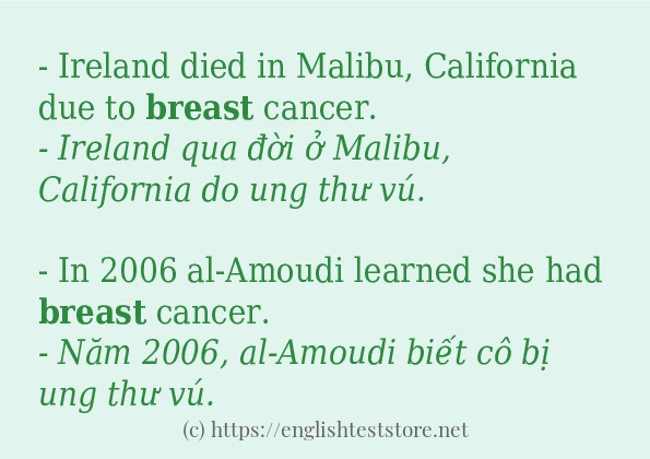Các câu ví dụ và cách dùng từ breast Các câu ví dụ và cách dùng từ breast