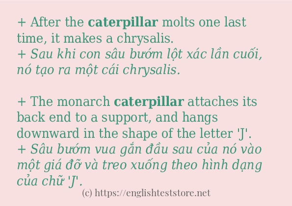 Các câu ví dụ và cách dùng từ caterpillar Các câu ví dụ và cách dùng từ caterpillar