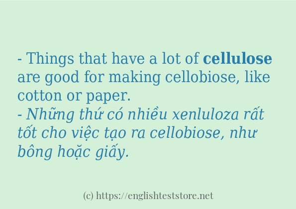 Các câu ví dụ và cách dùng từ cellulose