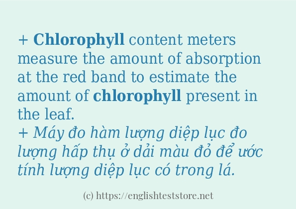 Các câu ví dụ và cách dùng từ chlorophyll