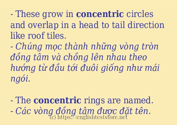 Các câu ví dụ và cách dùng từ concentric Các câu ví dụ và cách dùng từ concentric