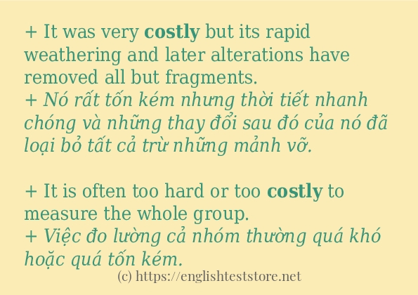 Các câu ví dụ và cách dùng từ costly