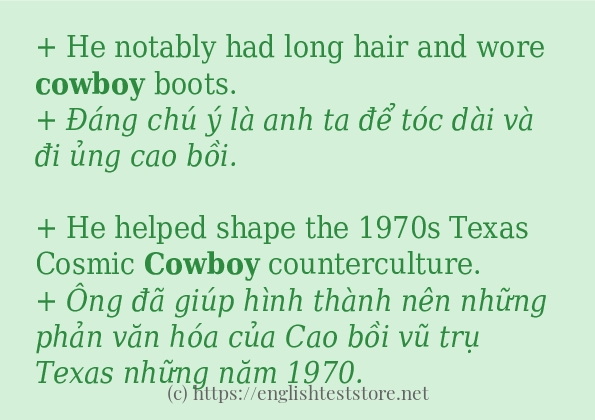 Các câu ví dụ và cách dùng từ cowboy