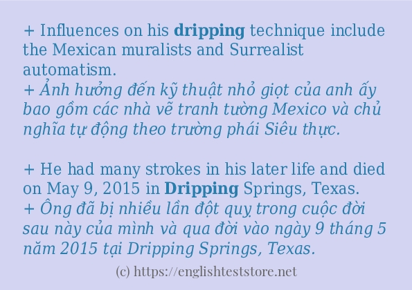 Các câu ví dụ và cách dùng từ dripping