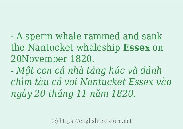 Các câu ví dụ và cách dùng từ essex