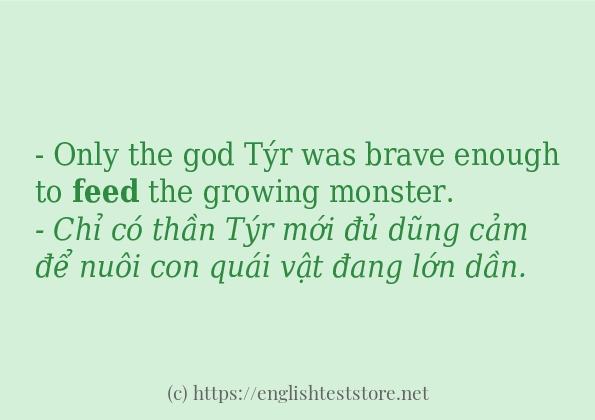 Các câu ví dụ và cách dùng từ feed