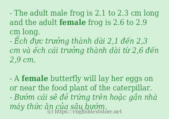 Các câu ví dụ và cách dùng từ female Các câu ví dụ và cách dùng từ female