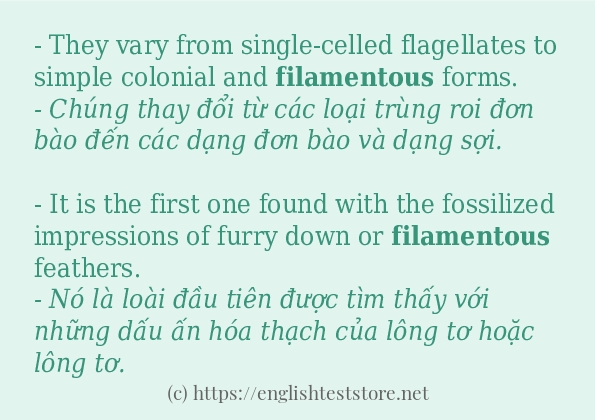 Các câu ví dụ và cách dùng từ filamentous