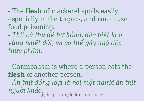 Các câu ví dụ và cách dùng từ flesh Các câu ví dụ và cách dùng từ flesh