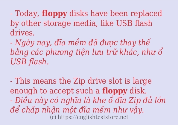 Các câu ví dụ và cách dùng từ floppy