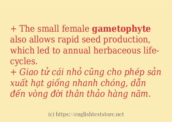 Các câu ví dụ và cách dùng từ gametophyte